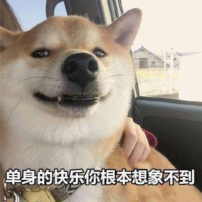 单身狗专用表情包