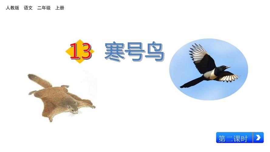 人教部编版二级上册语文寒号鸟pptx28页