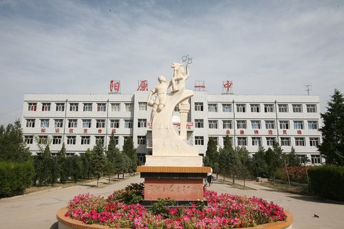 阳原一中