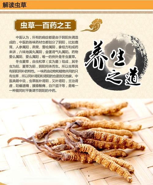 润枝润芝北冬虫夏草胶囊非极草5x西藏那曲冬虫夏草含片青海玉树野虫草