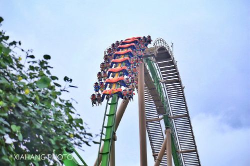 其全长近1,300米的「鹦鹉过山车」是全球最长的过山车之一,沿途带你