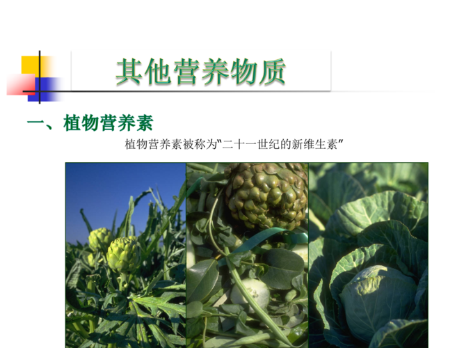 植物营养素ppt.ppt