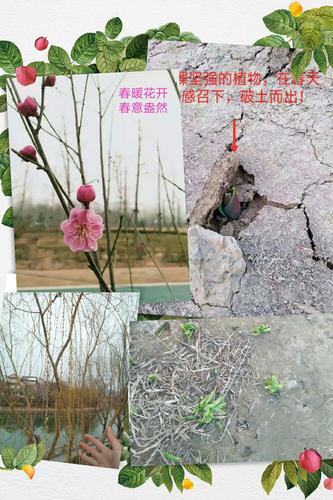 在公园里道路上把垃圾都送入了垃圾箱,美化了春天的环境