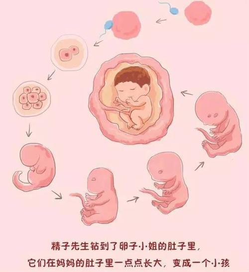 妈妈我从哪里来 史上最尴尬问题其实不难回答