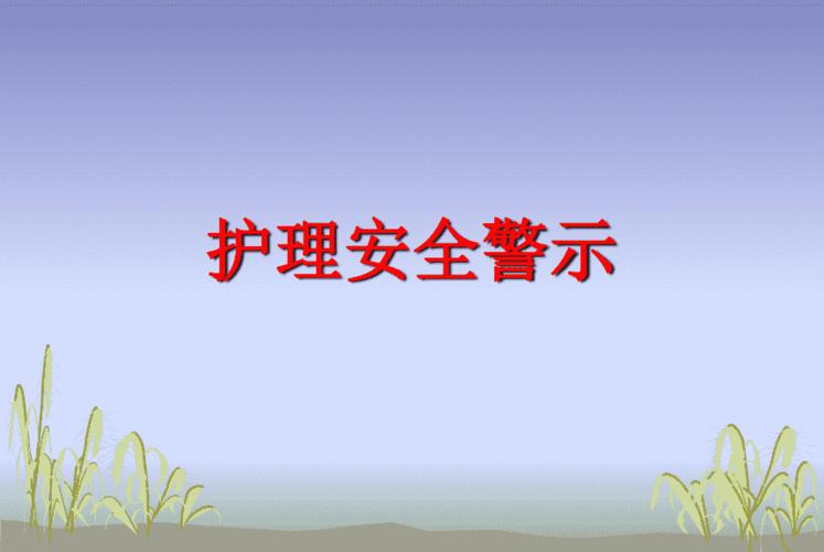 护理安全警示教育38053 ppt
