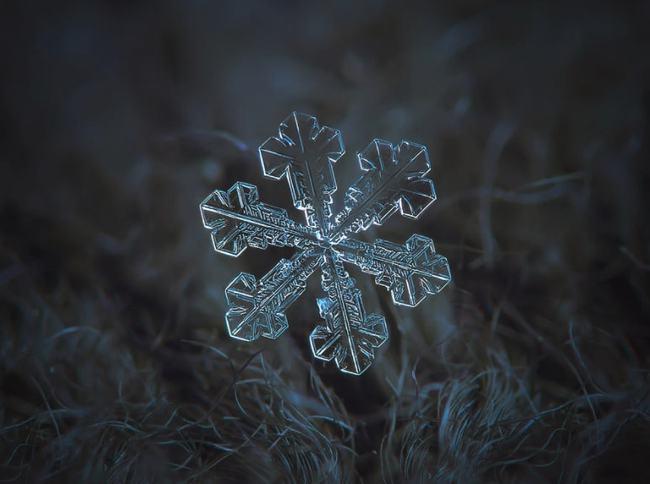 俄罗斯摄影师用简陋设备拍摄上万张雪花照片世界上真的没有两片相同的