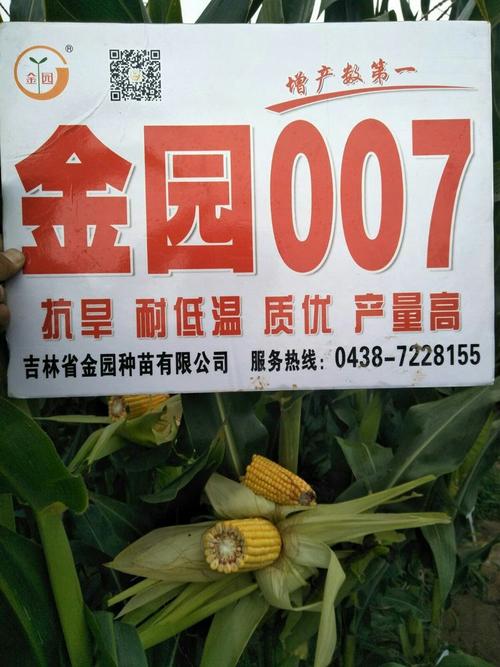 金园007 送给农民的微笑