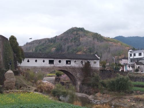 高路入云七姑尖,洞天福地竹溪村—徽州草蚁部落群牛年首驴登顶七姑尖