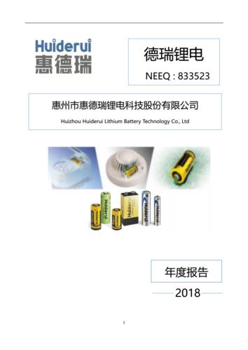 德瑞锂电:2018年年度报告.pdf