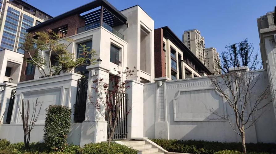 合肥别墅也摇号,最高650万,2名"刚需"要买!贫穷限制了