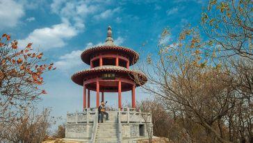 大熊山摘星楼风景区电子票