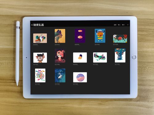 ipadpro procreate 插画练习