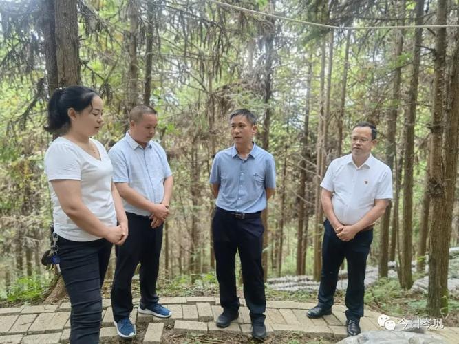 县委书记陈正锋深入天马平庄客楼调研指导工作
