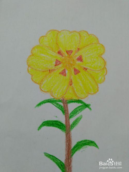 午时花怎么画最简单