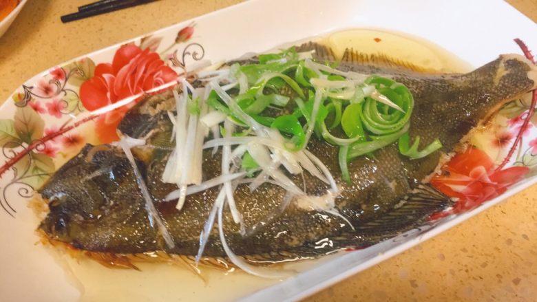 蒸系列★清蒸鲽鱼「经典粤式蒸法」