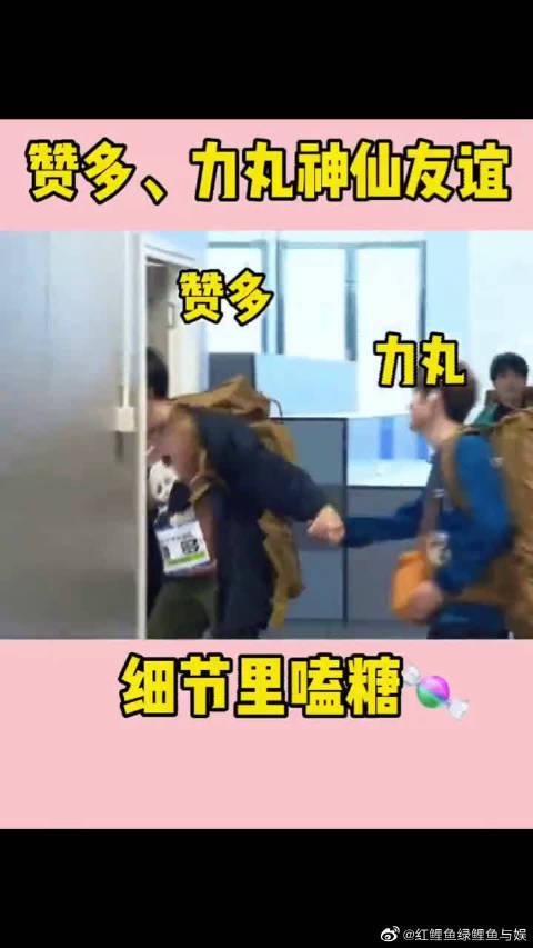 让我们来康康赞多有多宠力丸,细节里嗑糖 赞就丸了