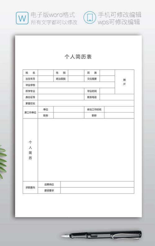 空白简历表格word电子版下载bg19