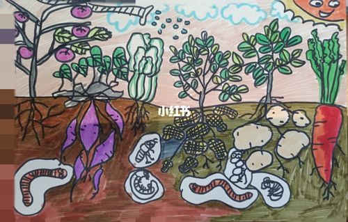 地下生长的植物,了解叶茎根和果实,小小的画大大的学 