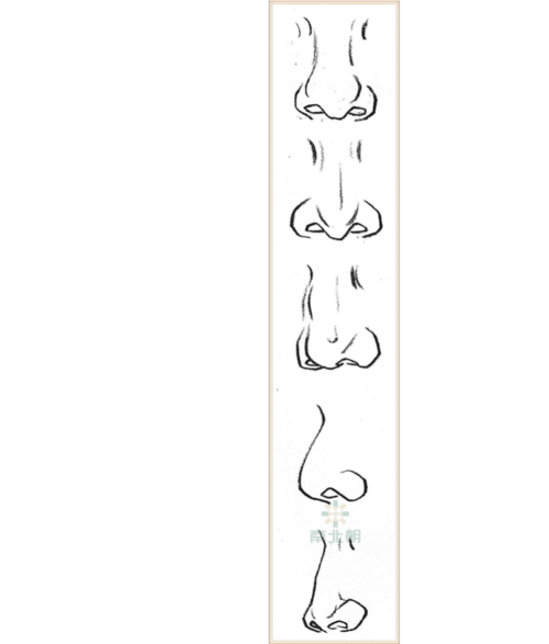 无忧文档 所有分类 画室速写课件—鼻子的画法