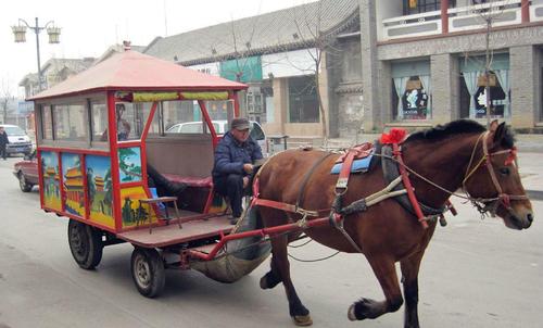 即使到现在,部分农村依然有牛拉车,马拉车,但是,鱼拉船——几条鱼