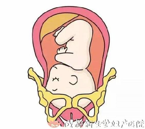 入盆是什么感觉?