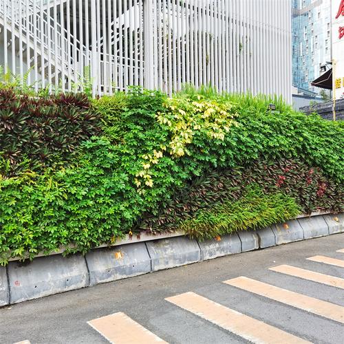 模块化的载体能让绿植轻松种植在立面上,并且维护成本低,造景效果好.
