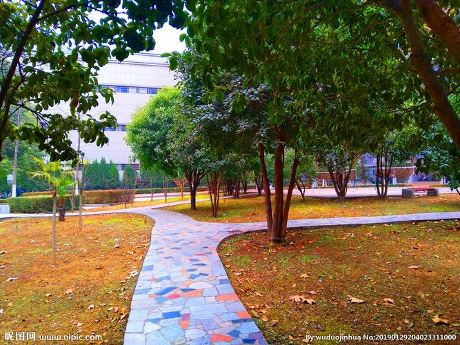 美丽的校园风景图片