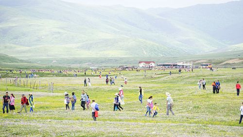 阿坝州红原县俄么塘花海景区迎来旅游旺季