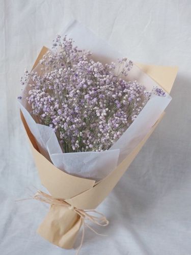 抛手捧花时最适合放的音乐 满天星手捧花