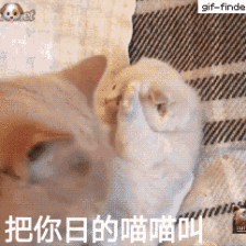 收集   点赞  评论  吧唧 0 0 伊藤浩二  发布到  表情 图片评论 0