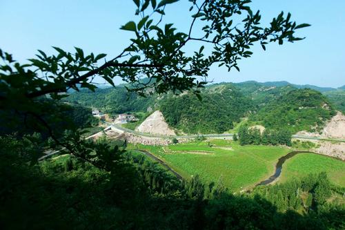 乡村,田野,水乡,丹江口市六里坪镇的双龙堰村,一片洁净的处女地!