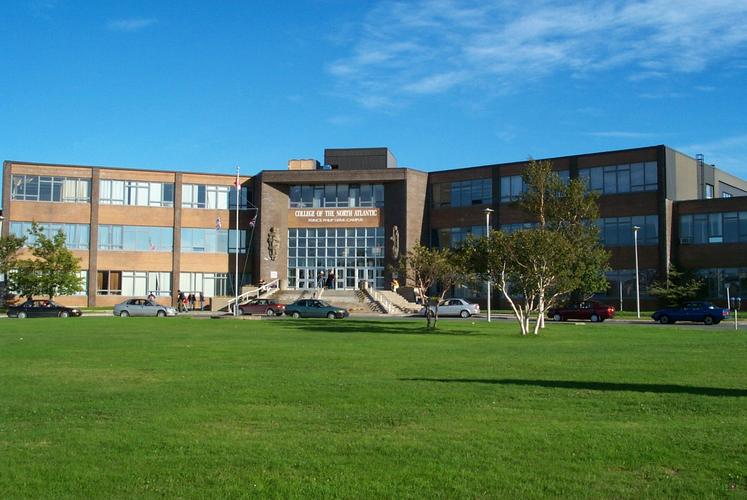 北大西洋学院有哪些专业?