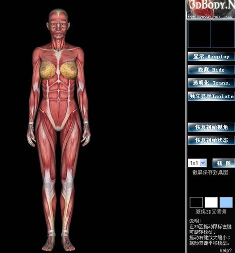 3dbody的3dbody特点