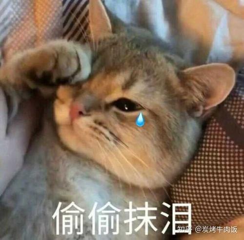 你们小时候做过最沙雕的事是什么?