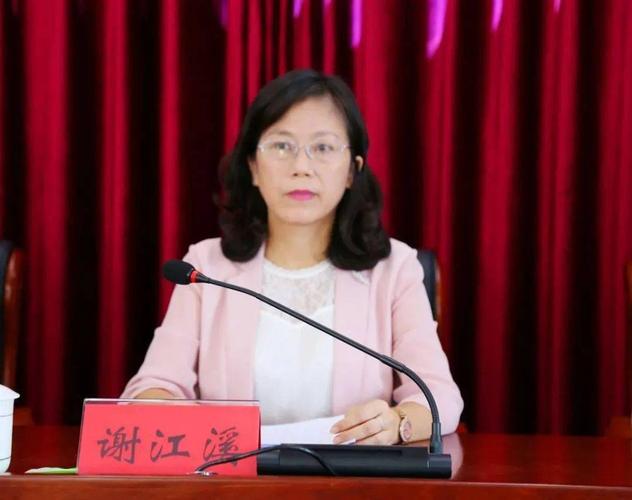 市人民政府副市长谢江溪讲话