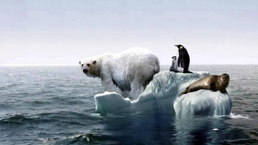 no.2臭氧层的耗损与破坏