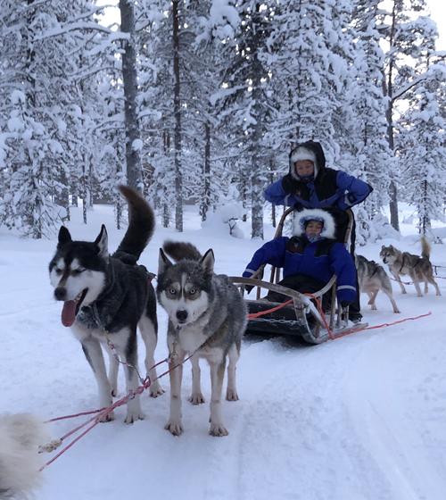 20190206北欧之旅第五天拉普兰 哈士奇拉雪橇与极光