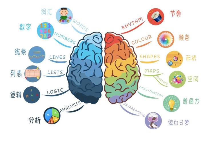 章鱼爱记忆轻松解决孩子记忆力问题
