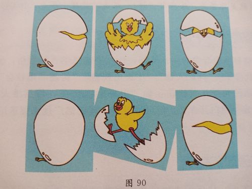 请把小鸡出壳的过程按正确顺序排列下来.