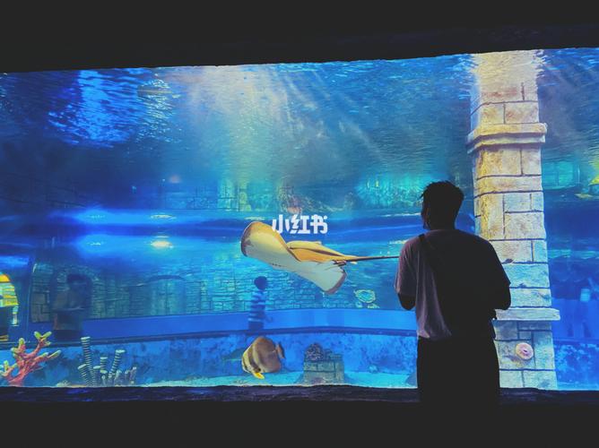 镜湖湿地海洋公园_海洋公园_镜湖湿地儿童乐园自由行热门攻略_主题