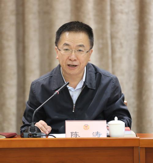 区领导陈宏志,陈涛,甘靖中,马继业,黄晓