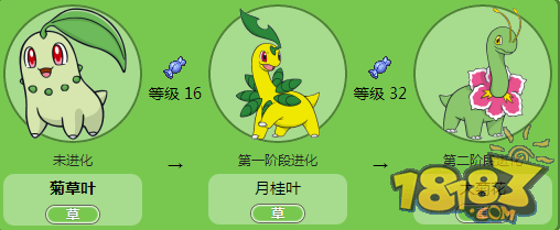 宠物小精灵金银版菊叶草多少级进化