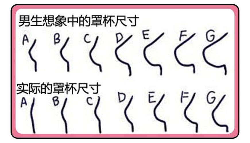 男生是不是对女生的胸有什么误解?