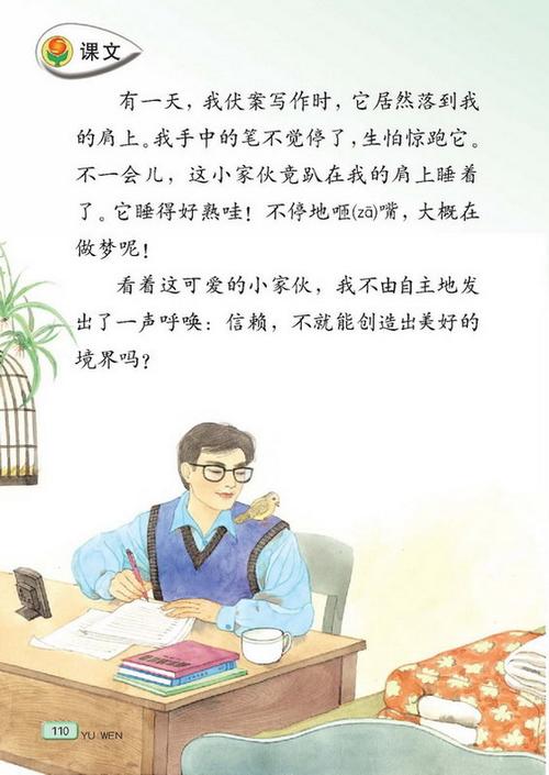 501班《珍珠鸟》本是七年级的一篇课文,我教中学时见过