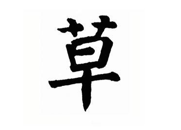草:汉字的起源与演变(小学一年级语文生字 第61集)