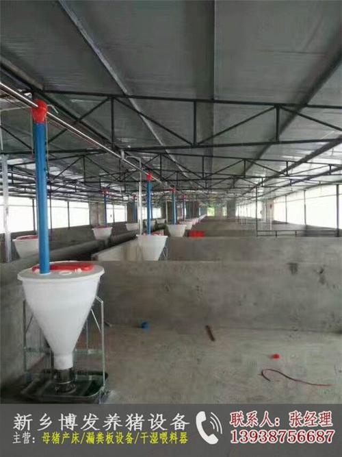 济南养猪自动喂料线,南宁猪自动喂料器,焦作养猪自动喂料系统,猪场