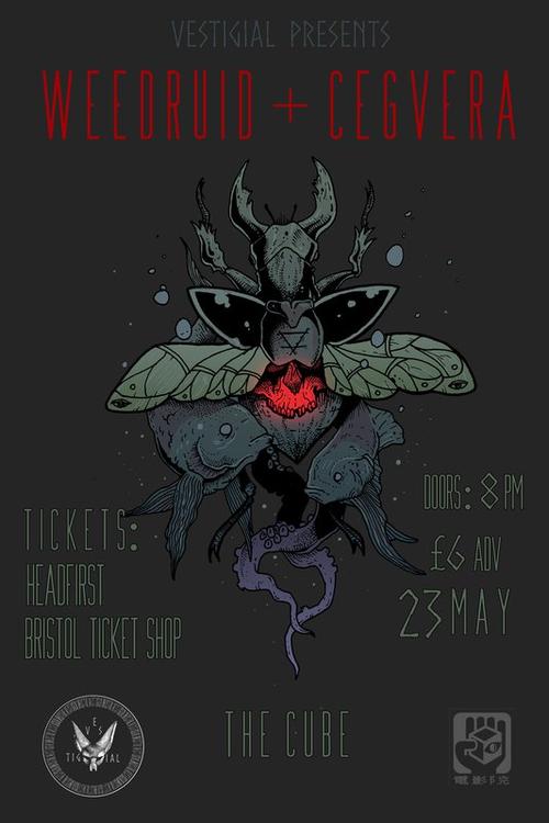 vestigial and the cube presents