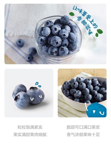 怡颗莓 当季云南蓝莓 约125g/盒*12盒*2件