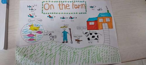 制作了手抄报并拍摄了小视频《on the farm》