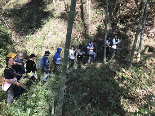 官元山林场—方竹坪—西坑村—仙人石—船埠潭(地图标为船市滩)—官